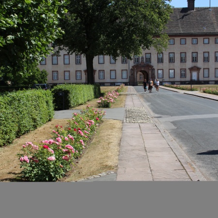 Größeres Bild ansehen